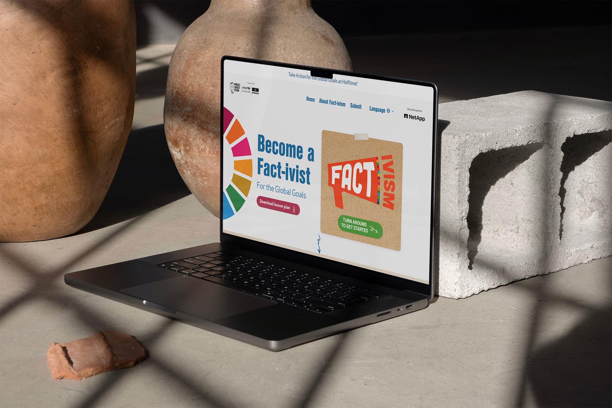 Factivism website detail