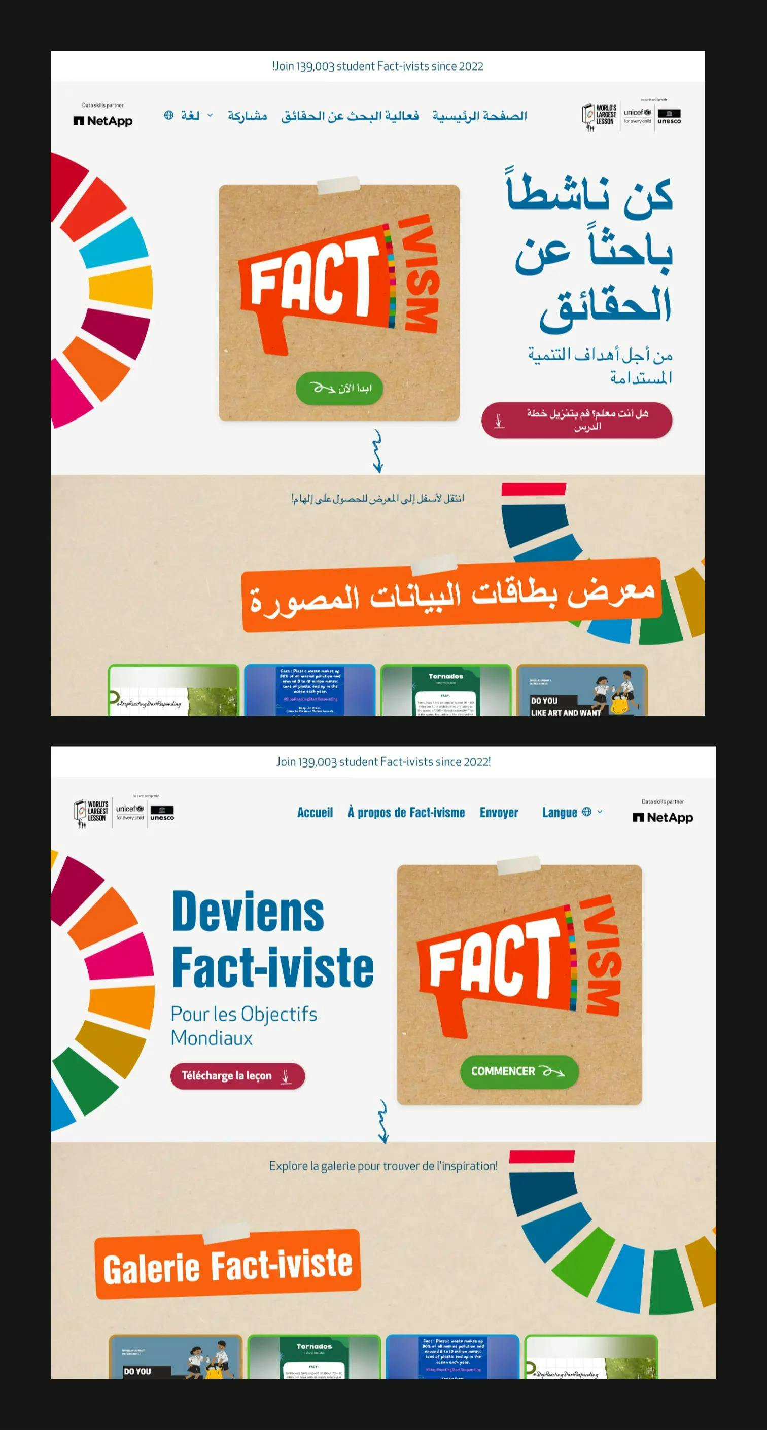 Fact-ivism website in Arabic and French